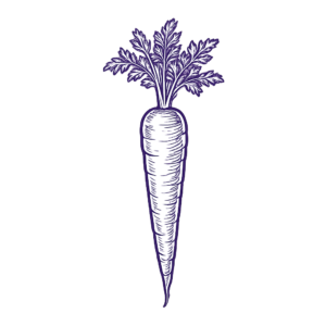carotte détaillée en style gravure vintage